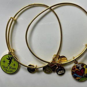 Two Alex and Ani Bracelets